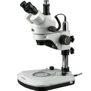 Dissecting Microscope Used for