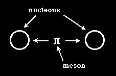 Hold nucleons together (protons and neutrons) Only works when nuclear