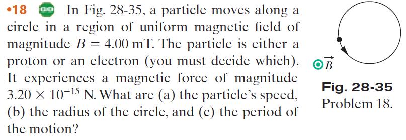 Additional Questions for Magnetic Forces and