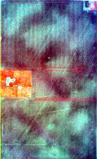 the soil patterns in the processed image would improve the accuracy of soil type mapping compared to the conventional grid sampling method. SoilType, Image: Beal.tif SoilType,C l6-13,image: B eal2.