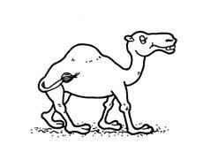 C C C C C C C C C c c c c c c c c c c c c Cody camel Directions: