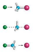 SN2 Reaction Mechanisms: Gas Phase (2008) http://pubs.acs.org/cen/news/86/i02/8602notw1.