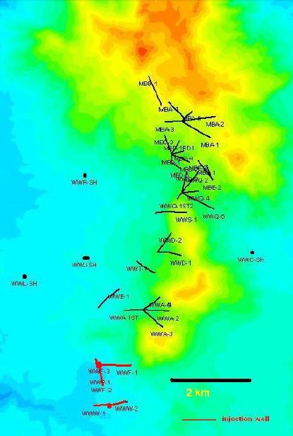 Case Study: Wayang Windu Geothermal