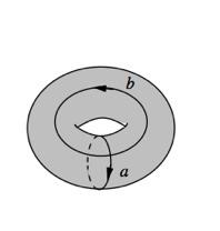 The basis of Hilbert space itself is obtained by considering the path integral on a solid torus,