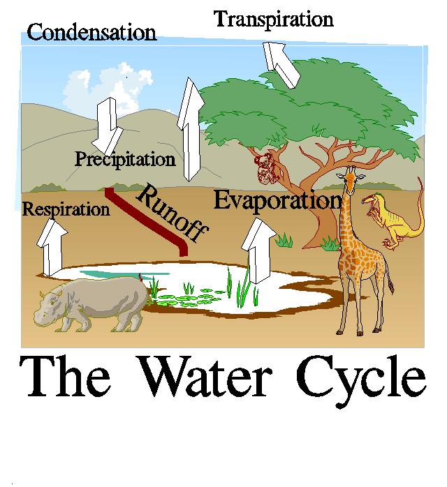 Water Cycle http://www.