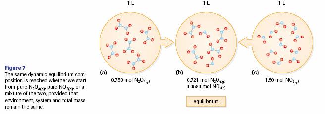 - Another example is N 2 O 4(g) 2NO 2(g) Equilibrium Law in Chemical Reactions - when considering chemical reactions that reach an equilibrium point reactants and products will be in the mixture -