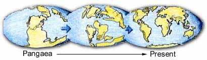 Alfred Wegener, a German scientist, proposed the hypothesis of CONTINENTAL DRIFT, in 1912.
