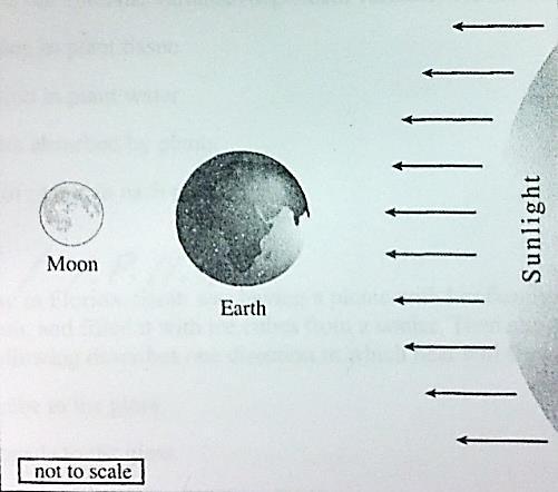 SC.8.E.5.9 Assessment Questions: 1. Not all planets experience a chance of seasons. What causes the seasons on Earth? a. The changing position of the Moon in relation to Earth s hemispheres b.