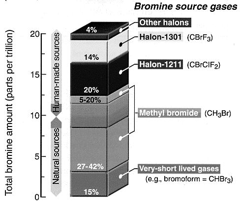 Bromine Sources Coupling Between Odd Nitrogen and Chlorine Cycles reactive unreactive Throughout most of the lower stratosphere, the nitrogen and chlorine cycles are coupled by the above chemical