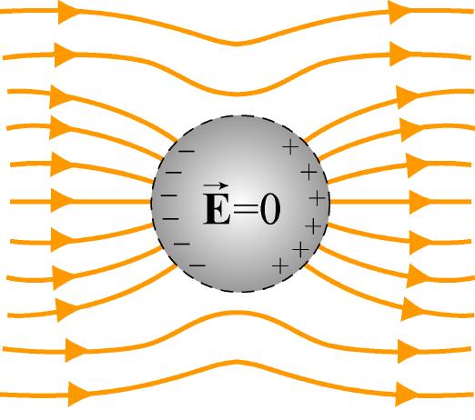 Conductors in Equilibrium Conductor Placed in External Electric Field 1) E =