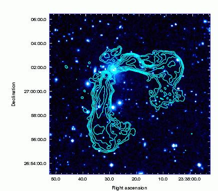 Morphologies of radio galaxies in clusters. II.