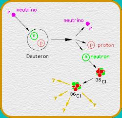 Neutrino quark reactions Neutral current (NC) Exchange of neutral Z-boson example: ν x + d --> p + n + ν x Deuteron breaks up All ν