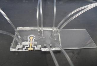 Lab-on-Chip for Heavy Metal Detection integrate sensors with microfluidic