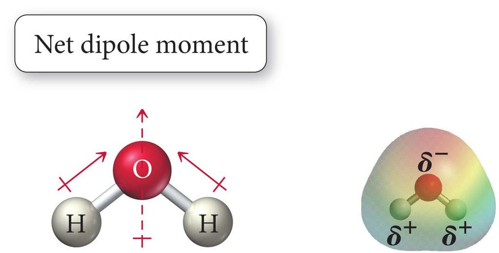 Molecular Polarity The H O bond is polar.