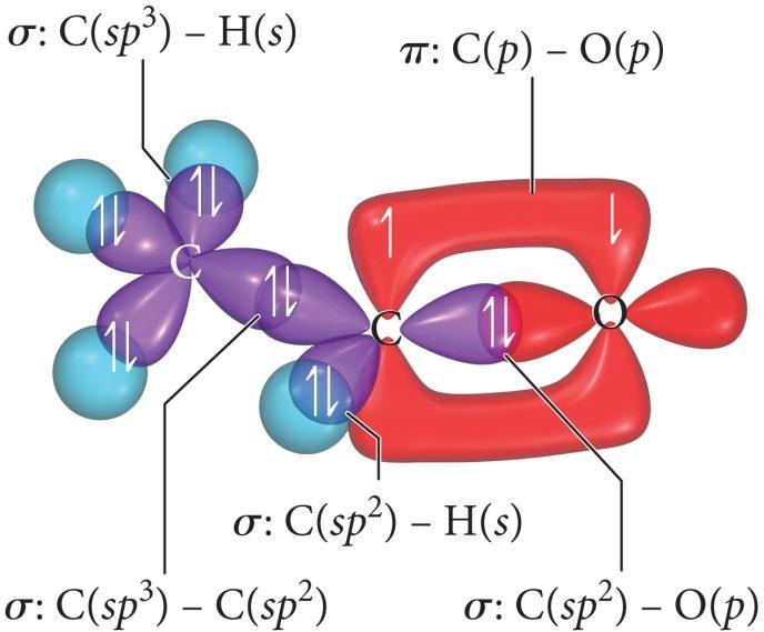 the central atom and its orbitals.