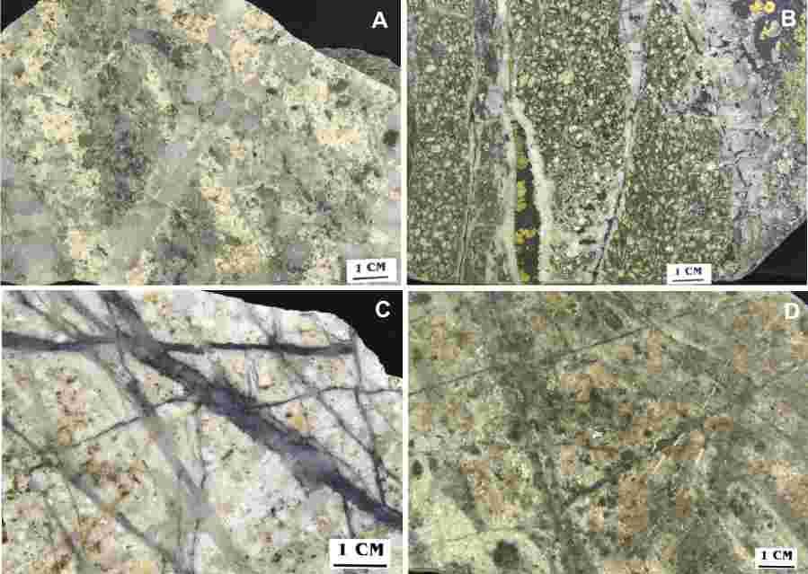 Examples of different mineralization styles associated with porphyry deposits. (A) bn-bearing quartz veins cutting highly sericitized Bethsaida granodiorite.