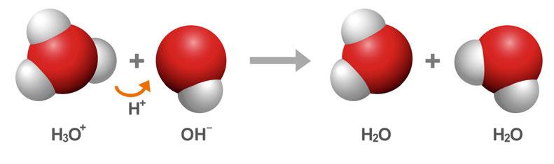 Explain the formation of the OH ion. The water molecule that lost a proton now has an extra electron, so it is called the OH ion.