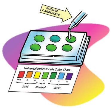3. Compare the color of the solution to the control and to the Universal Indicator ph Color Chart.