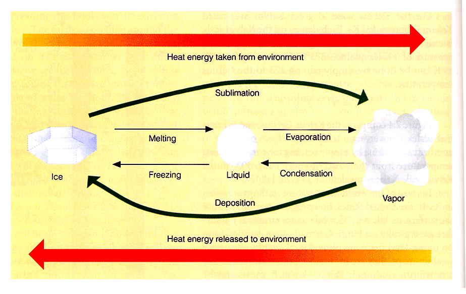 Latent Heating 680 cal/gm 80 cal/gm 600 cal/gm (from Meteorology: Understanding the Atmosphere) Latent heat is the heat released or absorbed per unit mass