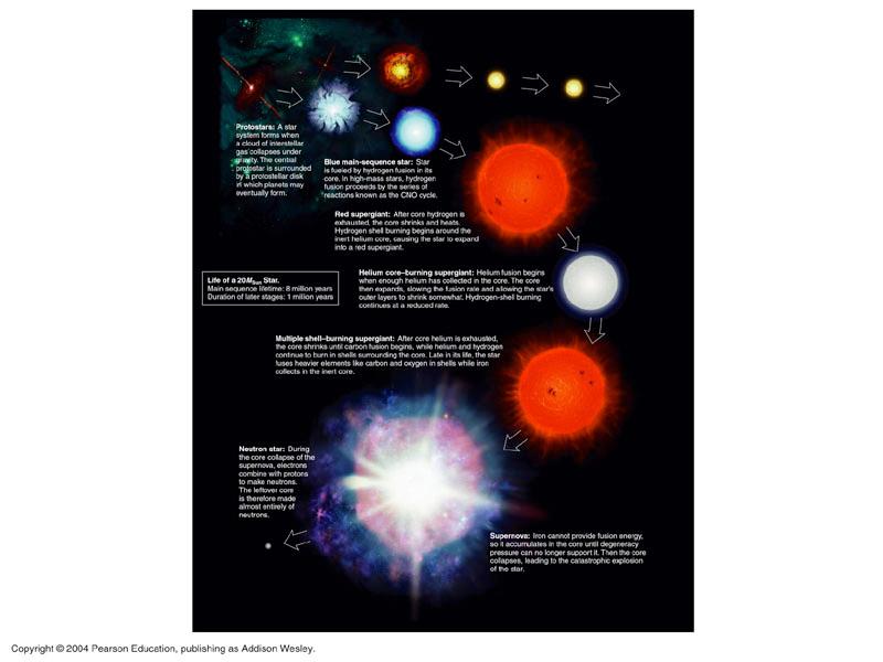 Life of a High-Mass Star 1. Main Sequence: H fuses to He in core 2. Red Supergiant: H fuses to He in shell around He core 3.