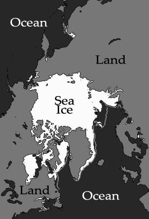 Graphing Sea Ice Extent in the Arctic and Antarctic 1. Large amounts of ice form in some seasons in the oceans near the North Pole and the South Pole (the Arctic Ocean and the Southern Ocean).
