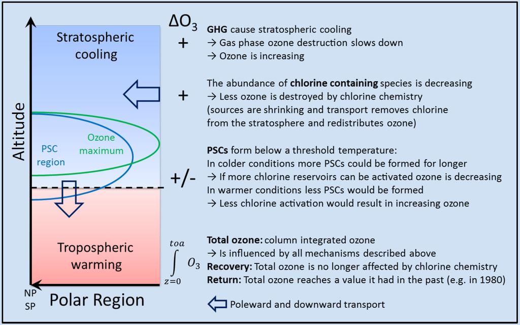 Ozone and Climate