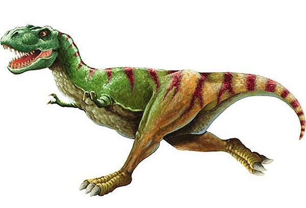 Scientific Names Usually Latin or Greek Contain information about the organism Ex: Tyrannosaurus rex Tyrannosaurus =