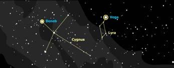 Stars in the constellation Orion d=25 light years d=2500 light years d=17 light years 10 Properties of