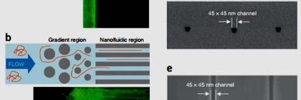 Micro-nano cross-scale structure and nano-structure are needed for special function