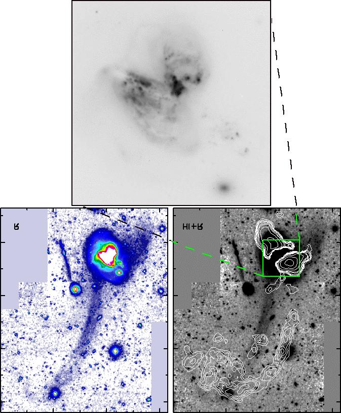 Timescales for star formation are much larger than timescale of present bursts Arp 299: tail length and rotational velocities suggest tail formation