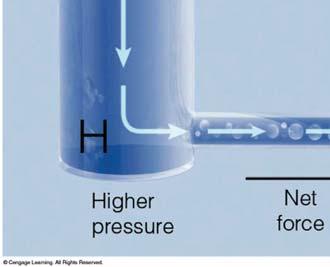 differences in pressure over