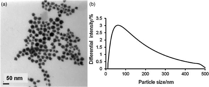 Nanoparticle aggregation in PEMFCs using surfactants Figure 7. (a) TEM and (b) DLS Pt nanoparticles prepared with 77 mm NP9, 1.3 mm H 2 PtCl 6 and 11 mm ascorbic acid.