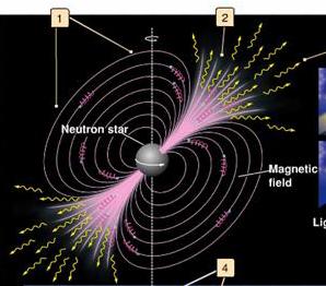 Spinning Neutron Stars Neutrons stars spins very quickly get angular momentum from its collapse period is a couple of hours our Sun takes 27 days to rotate Very strong