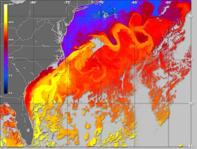 Pictured above is the East Coast of the United States, in grey, with the Gulf Stream, in yellow and orange, revealed through Sea Surface Temperature data (SST), made from the data derived from the
