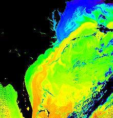 The Gulf Stream system has three named components - the Florida Current where it passes between Florida and the Bahamas, the Gulf Stream where it flows along the coast of the U.S. and the Gulf Stream Extension after it separates from the coast.
