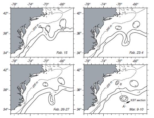 Gulf Stream meanders lead to the formation of a spinning