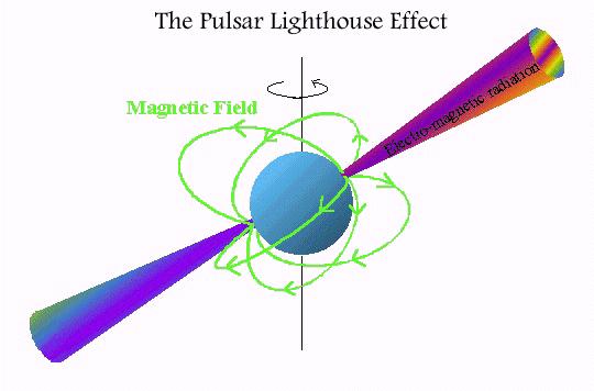 ! The radiation beams sweep around like lighthouse beams, as the neutron star rotates on its axis.! The star rotates extremely fast because its angular momentum was conserved when the core collapsed.