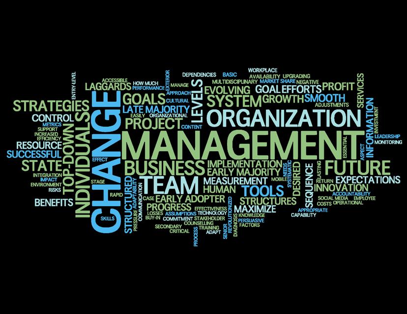 Change Management Staff Development planning as a change facilitation tool