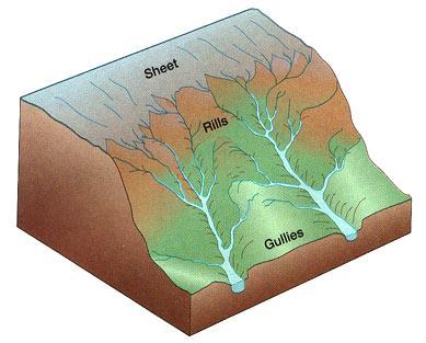 Main Ideas Section 3: Internal Forces Shaping the Earth Internal forces reshape the earth s