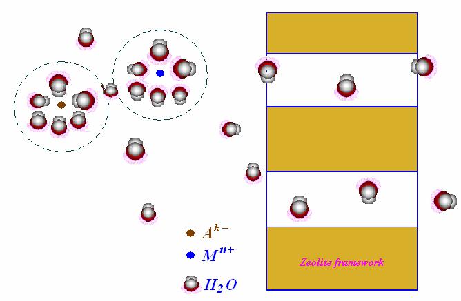 2 Ion and Water Transport Through the Zeolite Membrane Ion