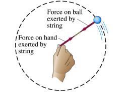 Dnamics of Uniform Circular Motion Consider the centripetal acceleration a of a rotating mass: The magnitude is constant. The direction is perpendicular to the elocit and inward.