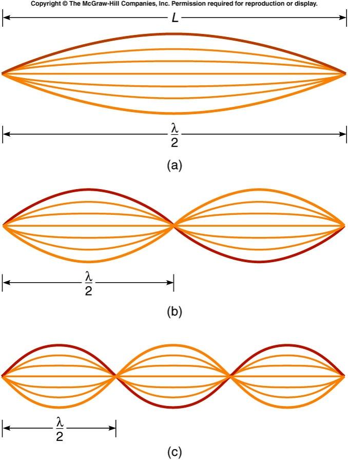 Musical notes Each end of the string must be a node so the possible standing waves must be multiples of λ/2 Fundamental f = v/λ = v/2l 2 nd Harmonic f = v/λ = v/l 3 rd Harmonic f = v/λ = 3v/2L