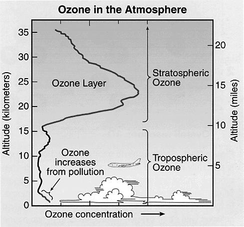 Ozone Distribution Stratosphere: Circulation and Temperature