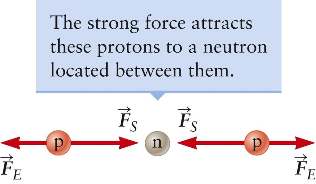 Stability in the Nucleus Neutrons are essential for the stability of the nucleus A neutron placed near two protons will add an attractive force