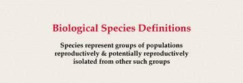 a species lineage (Darwin s modification) cladogenesis - evolution to form new species lineages or speciation