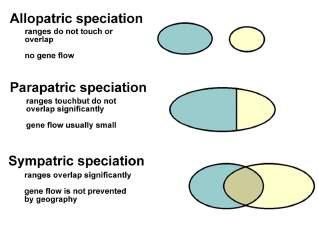 flow is not prevented by geography are: (1) diploid or homoploid hybrid speciation (2)