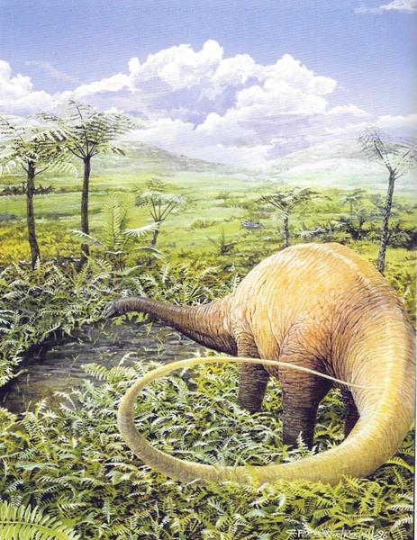 APATOSAURUS Nostrils on top of head suggesting they might have had trunks, but we don t know for sure Tail could have been used like a whip against