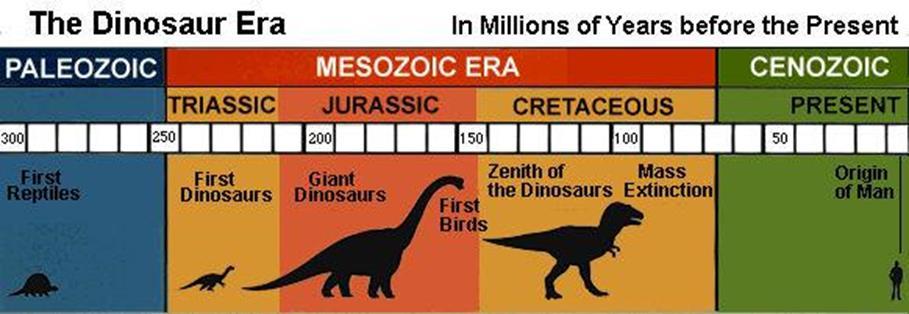 TIME PERIODS Paleozoic 251-542 million years ago Mesozoic 65