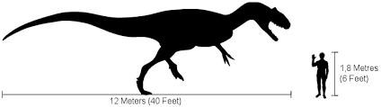 ALLOSAURUS Carnivore Most common dinosaur found in Utah