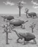 As the tortoises spread to the different islands, some were born with random variations in neck length.